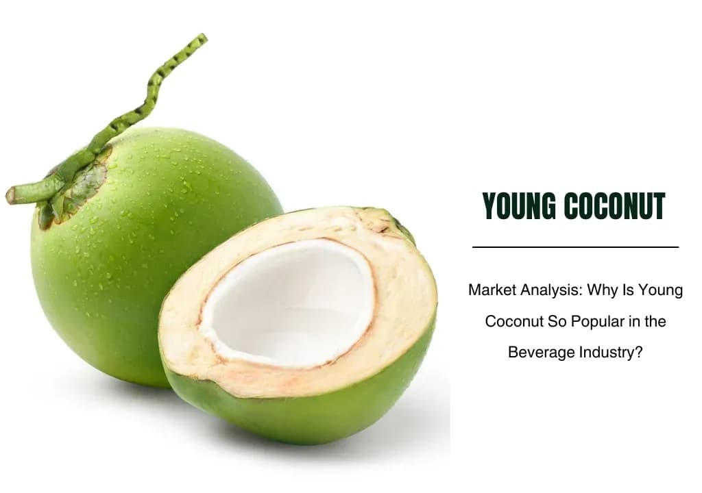 Market Analysis: Why Is Young Coconut So Popular in the Beverage Industry?
