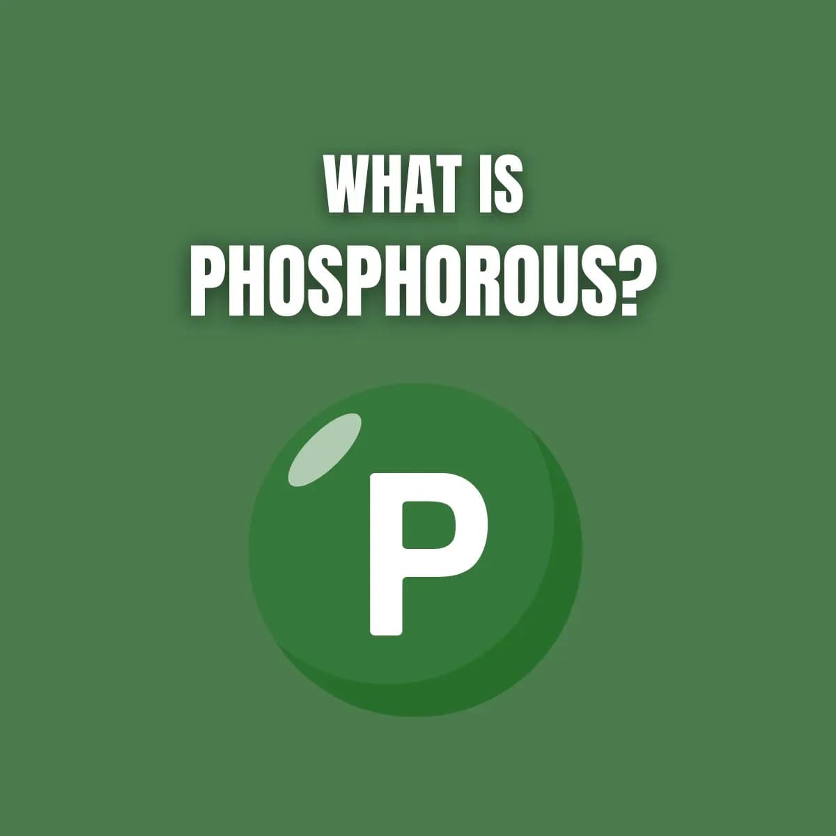 Phosphorous in Beverages: Benefits, Risks, and How to Control Your Phosphorous Intake