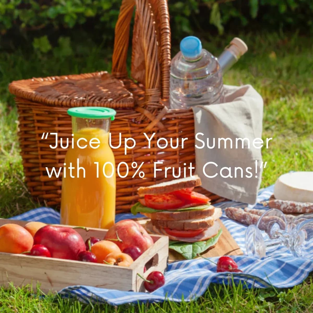Welcome Summer with 100% Fruit Juice Cans – Add Delicious Flavor to Every Picnic!
