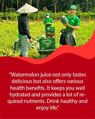 VINUT beverage and serving inspiration