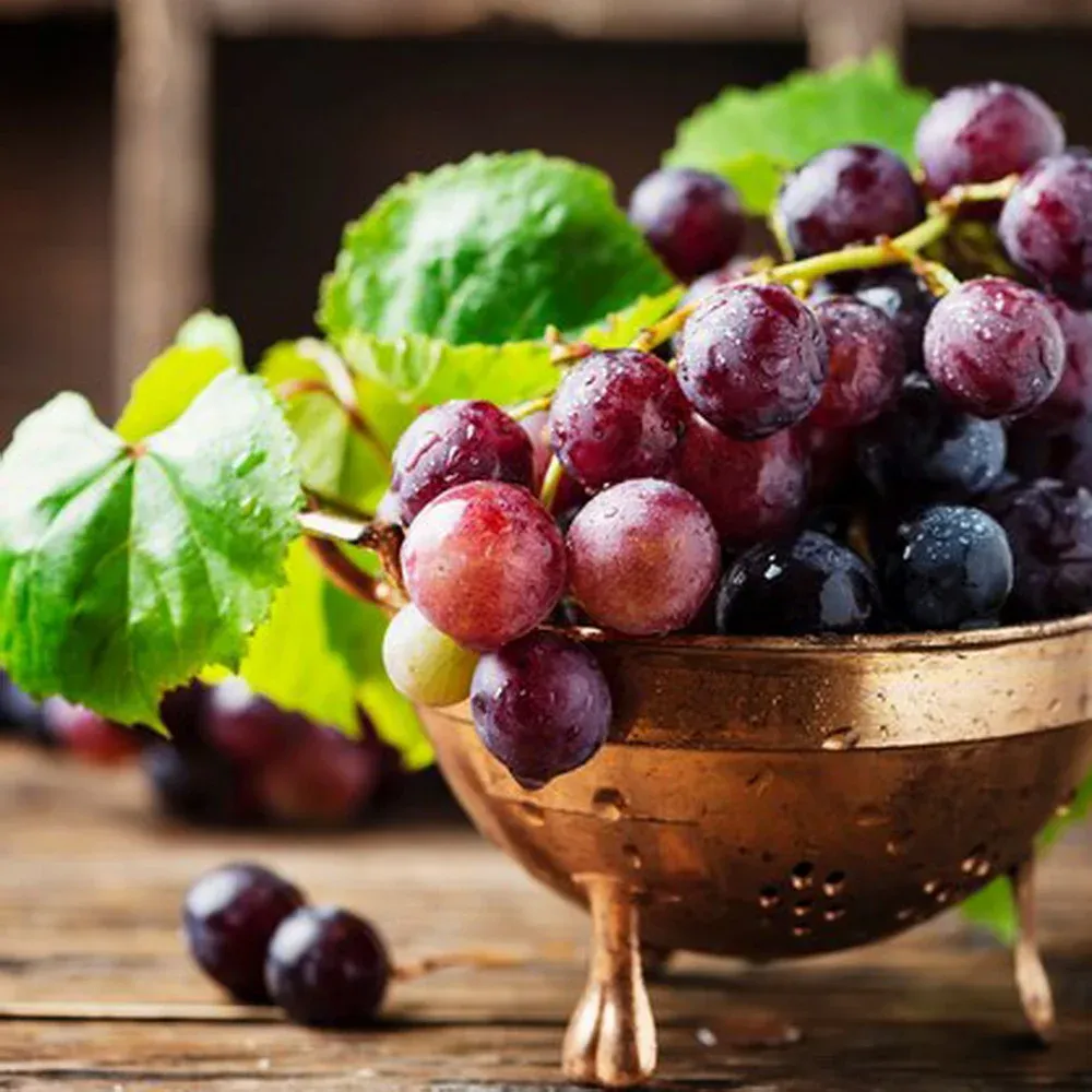 VINUT beverage and serving inspiration