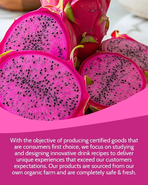 VINUT beverage and serving inspiration