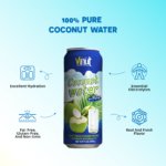 (12x16.57 fl oz) VINUT Coconut water with pulp - Image 6