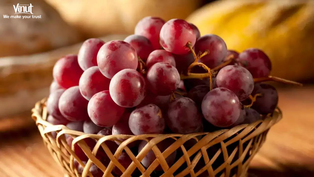 vinut-red grape