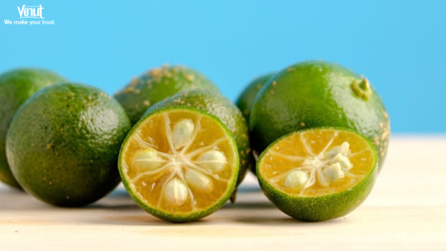 vinut_calamansi