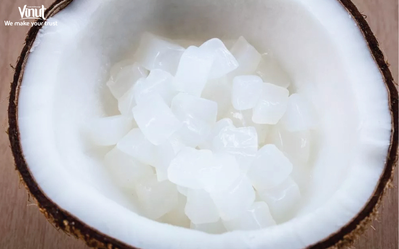 vinut_nata de coco