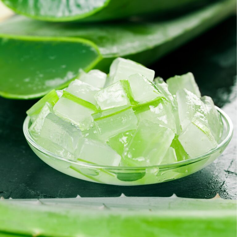 a bowl of aloe vera gel