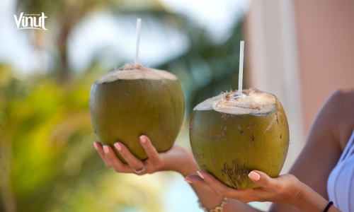 Vinut_Coconut water Boosts Immune Function