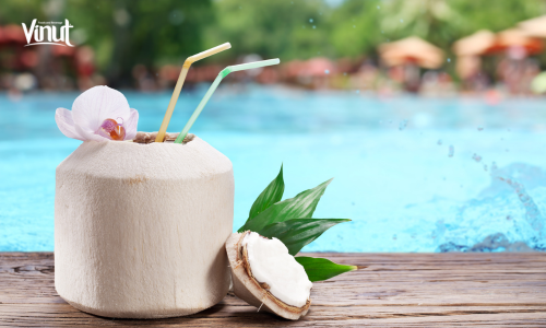 Vinut_General Health Benefits of Coconut Water