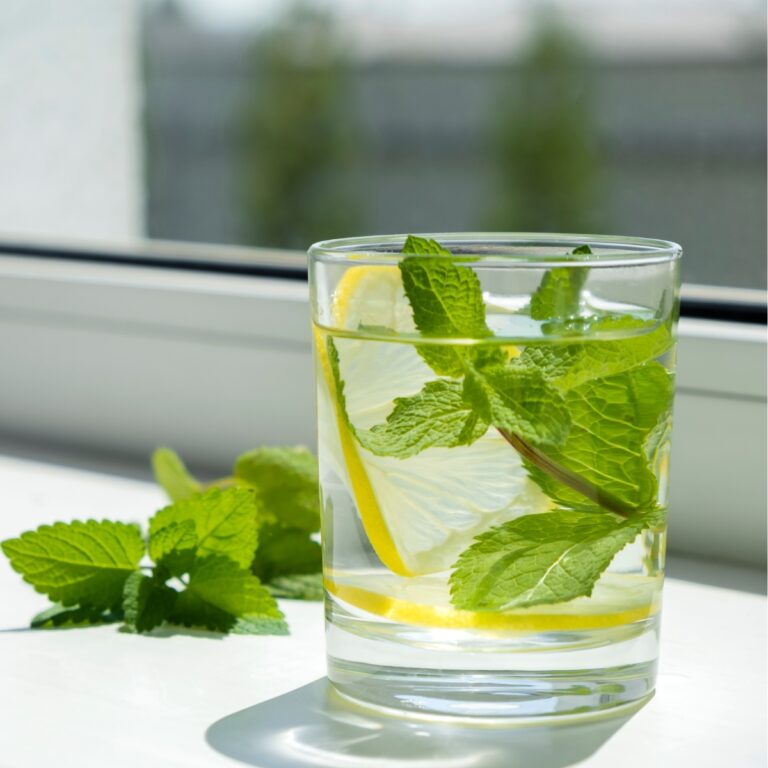 a glass of water with lemon and mint leaves