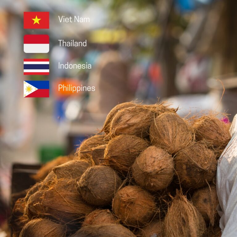 Fresh Coconut Market Growth: Projections and Global Demand Expansion
