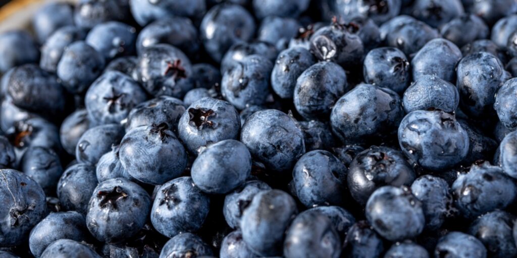 Blueberry’s Unique and Memorable Flavor